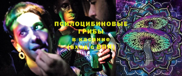 Альфа ПВП Алзамай