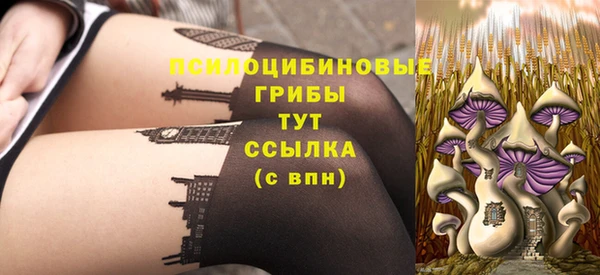 герыч Алексин