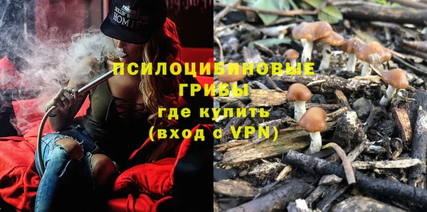 тгк Алексеевка