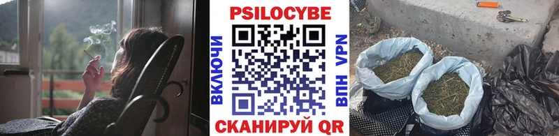 где найти Евпатория Псилоцибиновые грибы GOLDEN TEACHER
